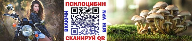 Псилоцибиновые грибы прущие грибы  Туапсе 